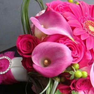 Meet your Posher, Oriental